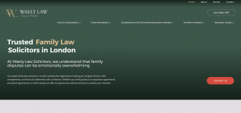 Waely Law Website Snap